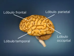 Microcurso - Descubriendo qué es la demencia