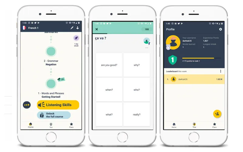Microlearning - Memrise