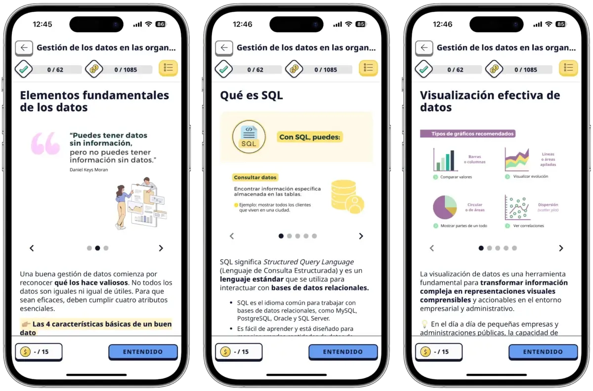 Gestión de los datos en las organizaciones